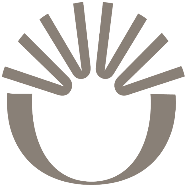 Solleon