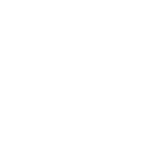 Solleon